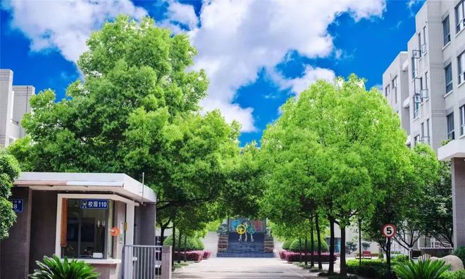 2024年弗吉尼亞理工大學錄取分數線（2024各省份錄取分數線及位次排名）_理工錄取分數線是多少_理工科大學錄取分數排名