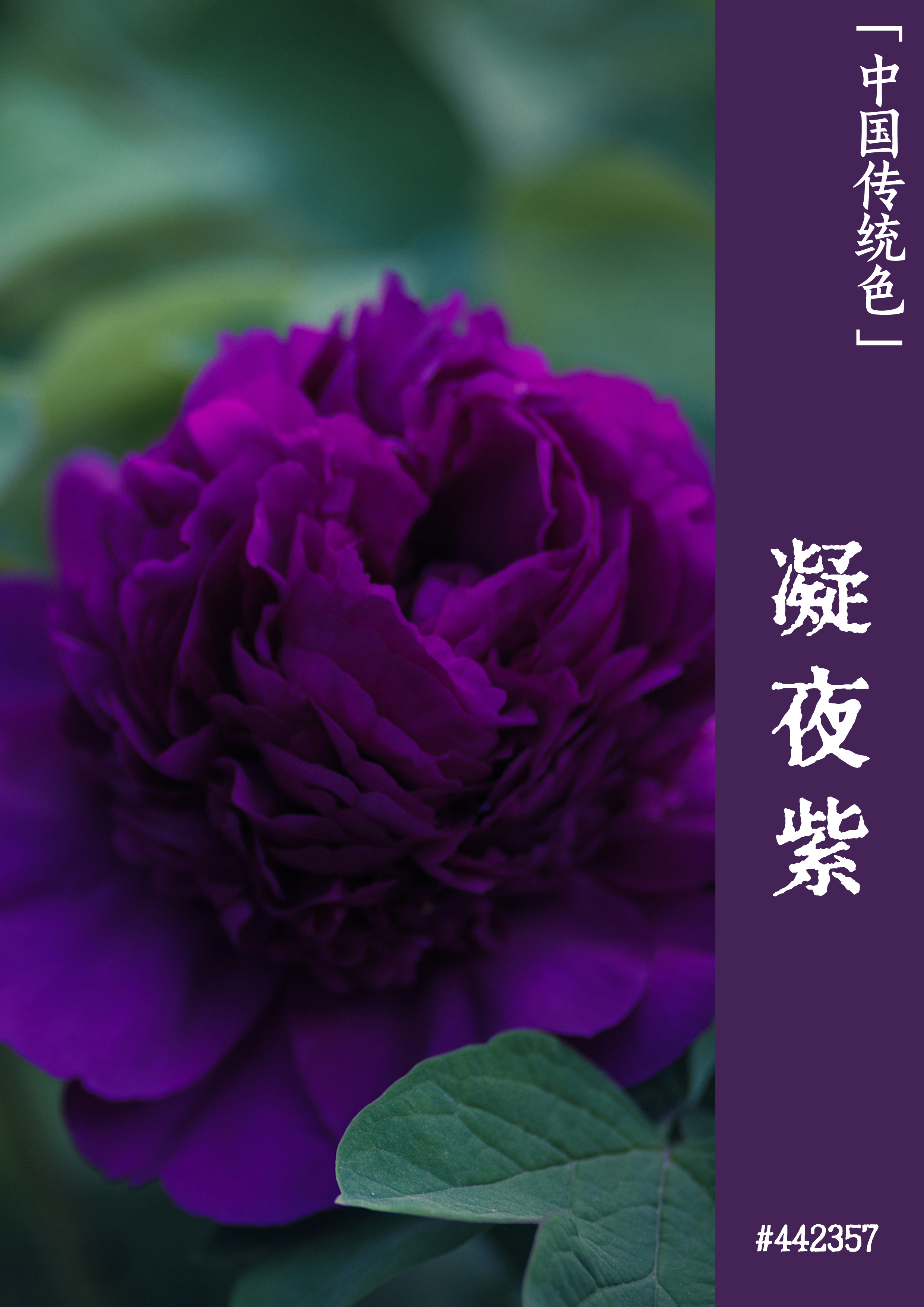 2024年華中科技大學管理學院錄取分數線（2024各省份錄取分數線及位次排名）_年錄取分數線是多少_華夏錄取分數線