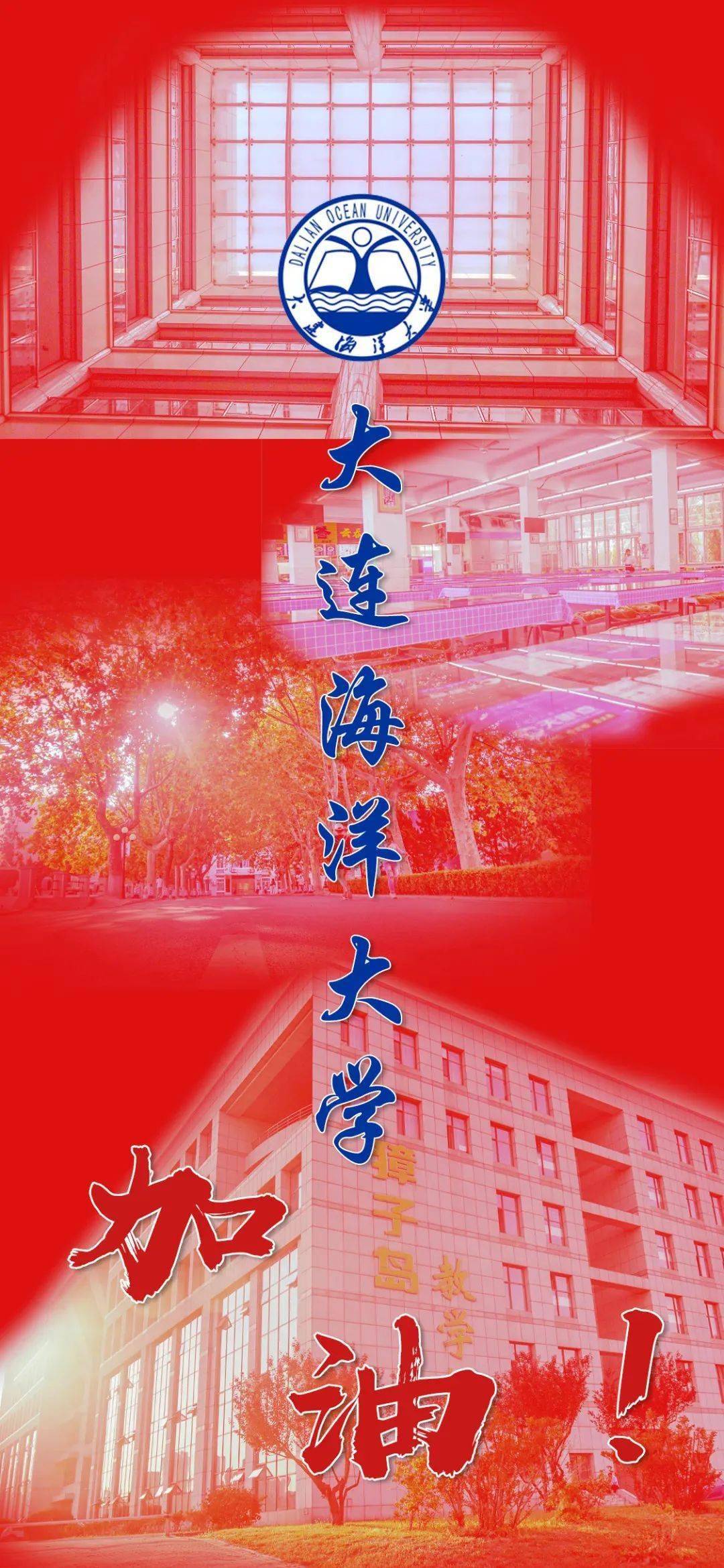 大連海洋大學高考分數_2024年大連海洋大學錄取錄取分數線（2024各省份錄取分數線及位次排名）_大連海洋大學各省錄取分數線