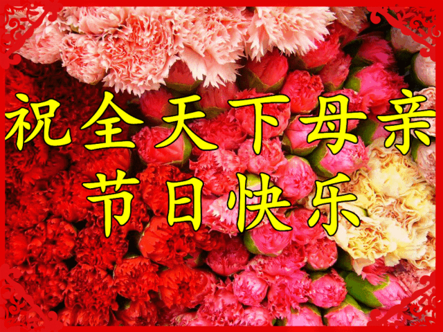 母親節節英文_用英文母親節說的話_母親節英語怎么說