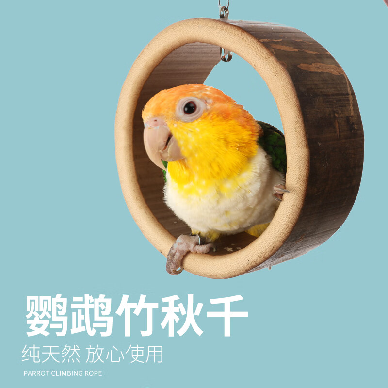牡丹英文是什么_牡丹鉆石畫圖片_