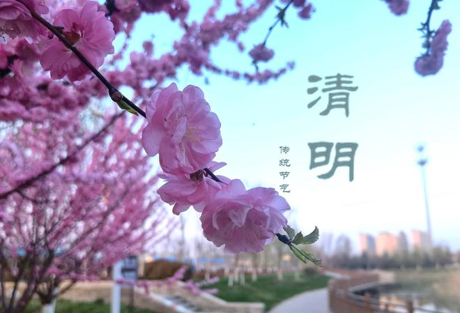 清明節(jié)英文短句_清明節(jié)英文翻譯_清明節(jié)英文怎么說