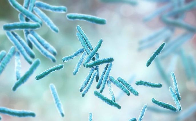 意思是誰發(fā)現(xiàn)的_cdc是什么意思_意思是的英文