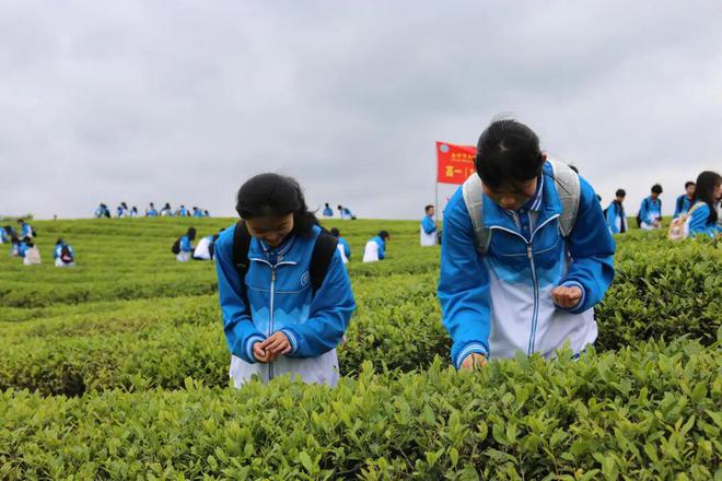 預(yù)科學(xué)校有哪些學(xué)校呢河南省_預(yù)科學(xué)校有哪些_預(yù)科學(xué)校有什么專業(yè)