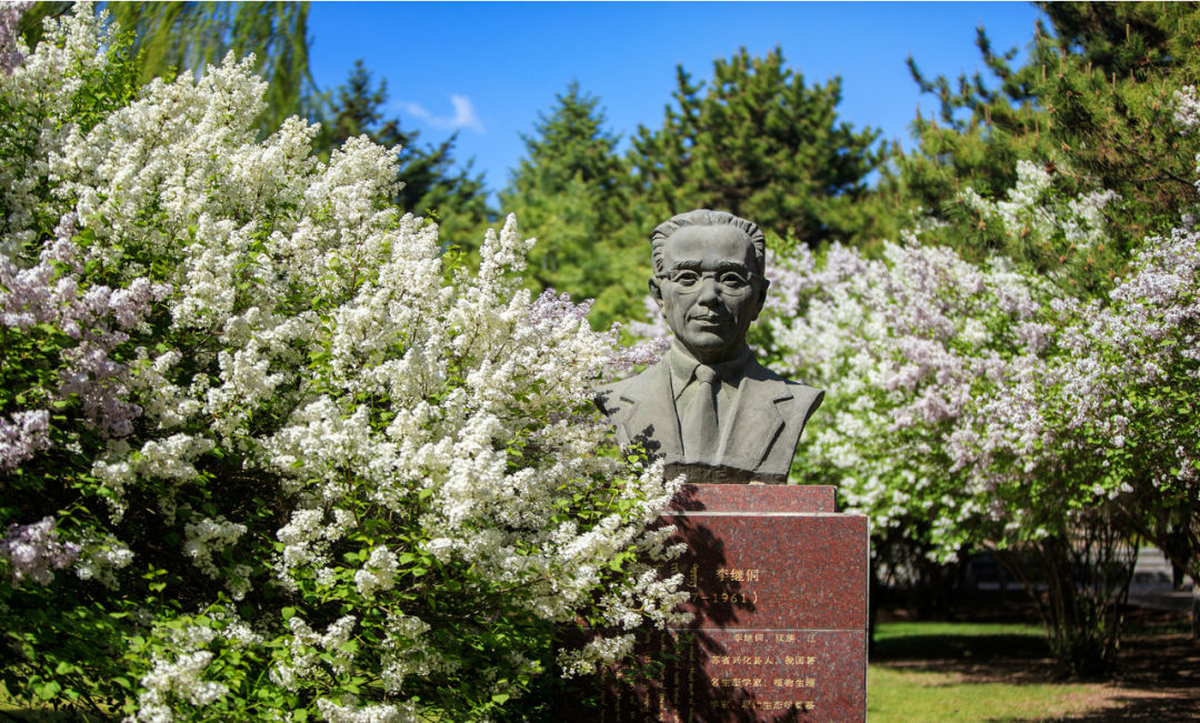 中興大學qs世界排名_中興大學_中興大學在臺灣排第幾