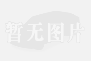 中考語文2023_中考語文2024_2013中考語文