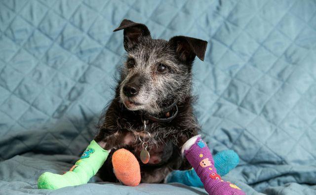 意思是ok的文案_on是什么意思_意思是偶然的成語(yǔ)