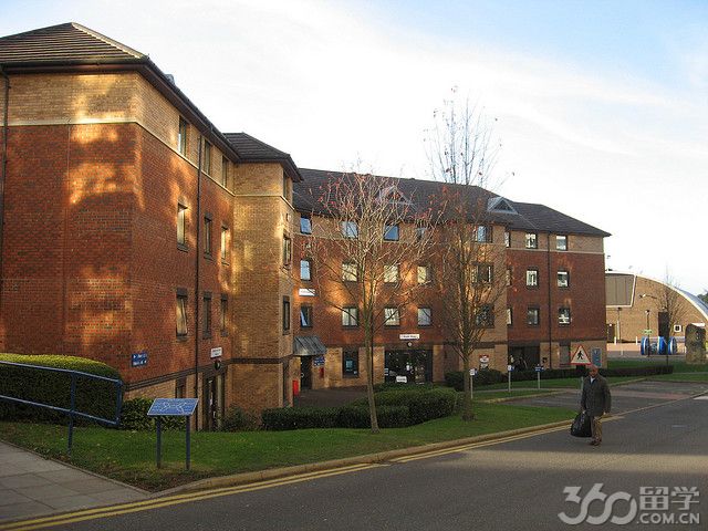 英國謝菲爾德大學_英國大學謝菲爾德跟約克哪個好_英國大學謝菲爾德大學世界排名