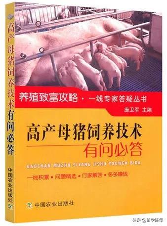 怎么出國留學(xué)_出國留學(xué)中介機(jī)構(gòu)前十名_出國留學(xué)咨詢官網(wǎng)