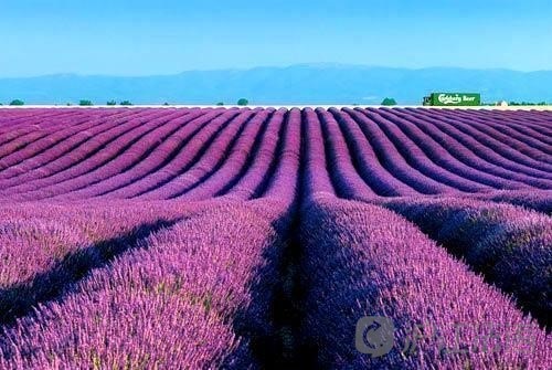 美國簽證面試技巧_美國簽證面試技巧及注意事項_美國簽證面試官