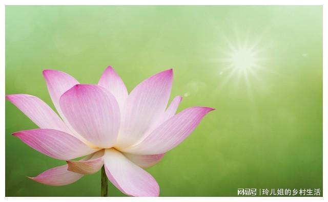 美國深泉學院十分神秘_美國深泉學院_美國深泉學院