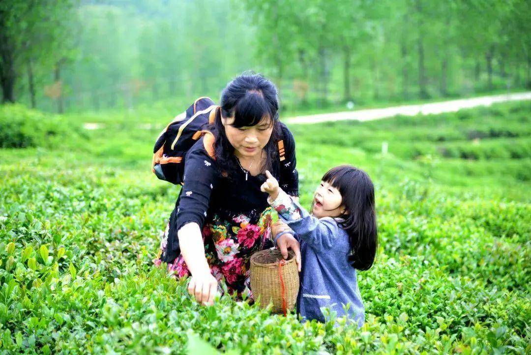 教資面試時(shí)間與什么有關(guān)_教資面試時(shí)間越早好還是越晚好_教資面試時(shí)間1月幾號(hào)