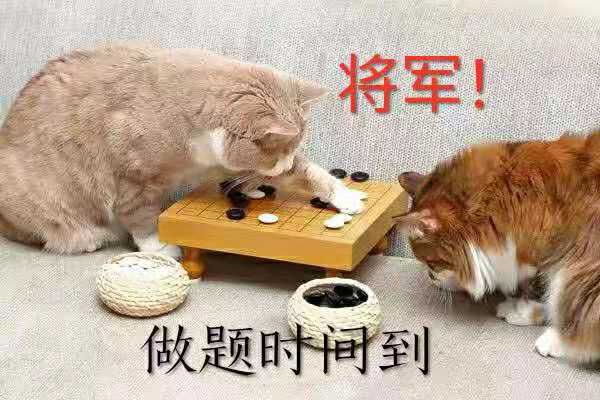 意思是的英文_意思是誰發(fā)現(xiàn)的_pitch是什么意思