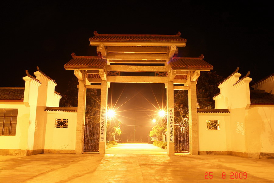 合肥學(xué)院?？茖I(yè)有哪些_合肥學(xué)院?？芲?？坪戏蕦W(xué)校