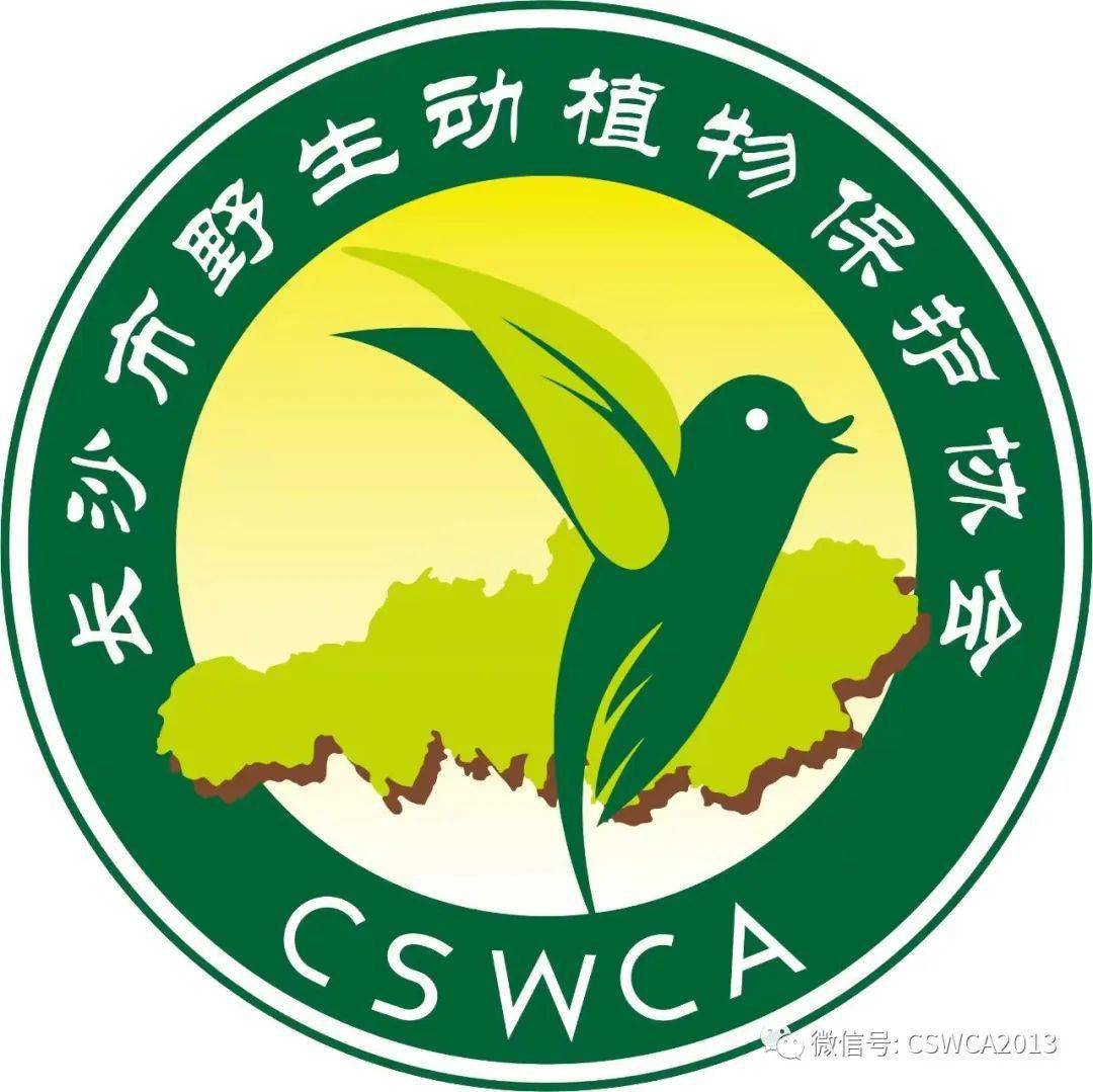 _縮寫的英文有哪些_縮寫用英文怎么寫