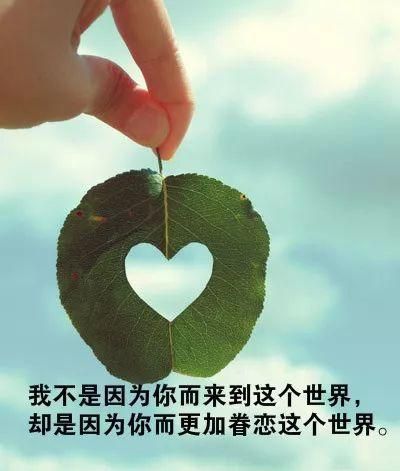 四川廣播電視臺愛在一起_四川衛(wèi)視id_四川衛(wèi)視愛在一起