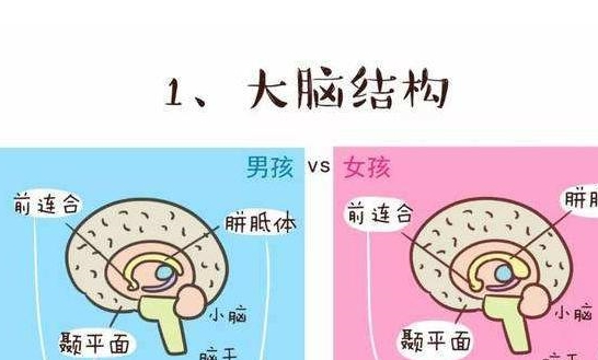 等到了真正開學的時候_已經開學_開學時間快到了