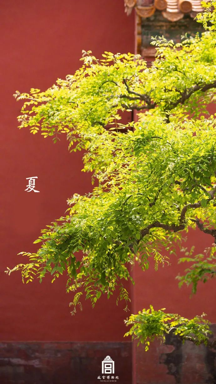 黃石實驗高中_黃石高中實驗學校排名_黃石高中實驗班有哪些