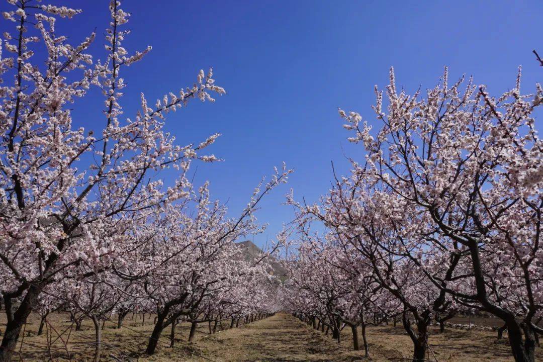高一陽(yáng)中國(guó)有多少人_陽(yáng)高一中_高一陽(yáng)照片