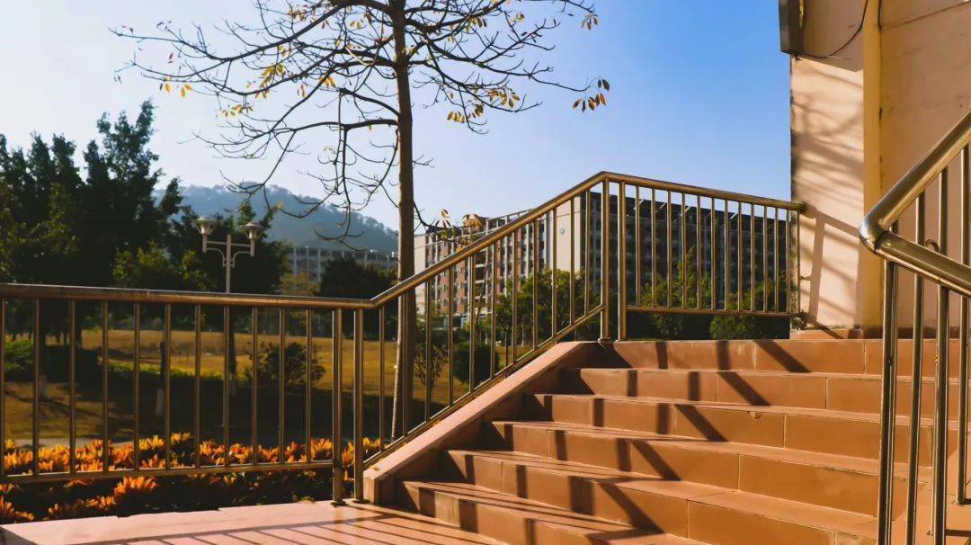 大學(xué)官網(wǎng)查詢錄取_仰恩大學(xué)錄取查詢_大學(xué)錄取院校查詢