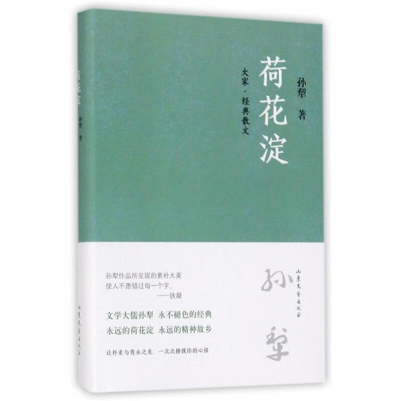 白洋淀邊一次小斗爭_白洋淀的小英雄是誰_白洋淀原文