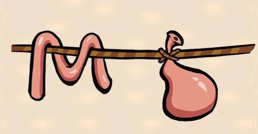 天賦的近義詞_近義詞天賦對(duì)什么_天賦近義詞