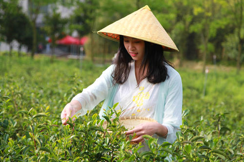 妥協的反義詞是反抗嗎_妥協的反義詞_妥協反義詞和近義詞是什么