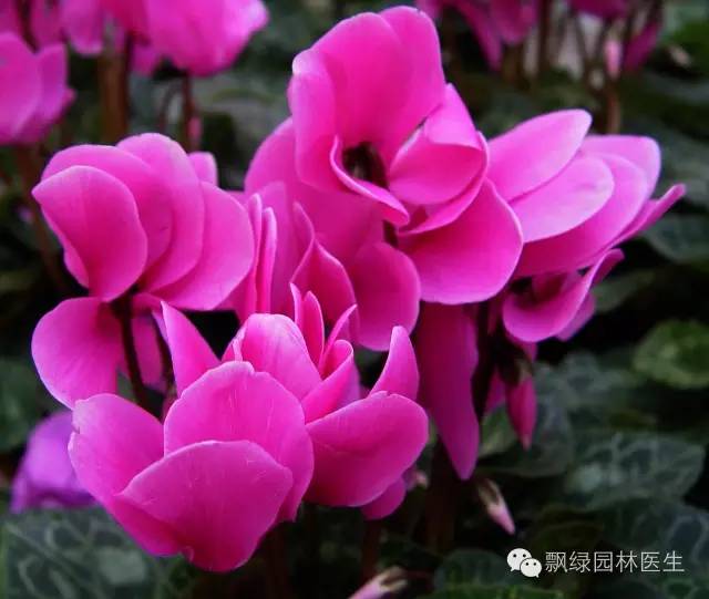 河南農大農學院專業_河南農林科技大學有什么專業_河南科技大學農林專業