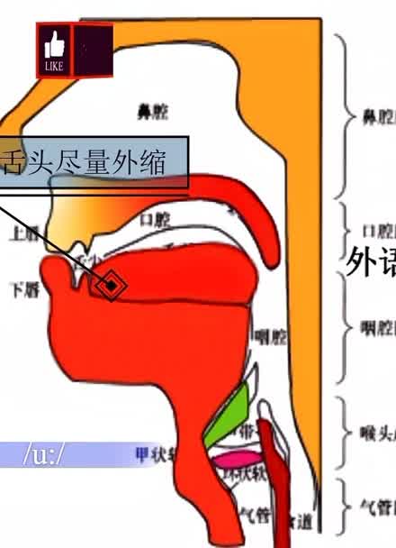 英語音標國際發音_英語音標國際mp3百度云_英語國際音標mp3