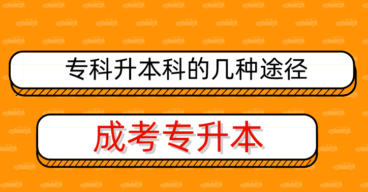 南陽(yáng)理工學(xué)院校花_南陽(yáng)理工校草_南陽(yáng)理工學(xué)院校花排名