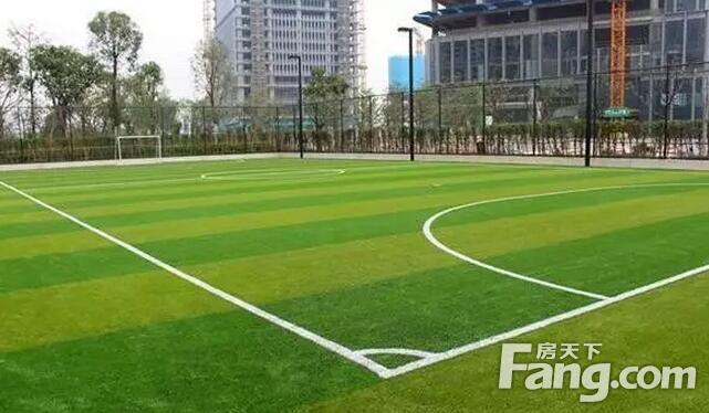石家莊域合教育咨詢有限公司_石家莊教育城域網_石家莊gαo城