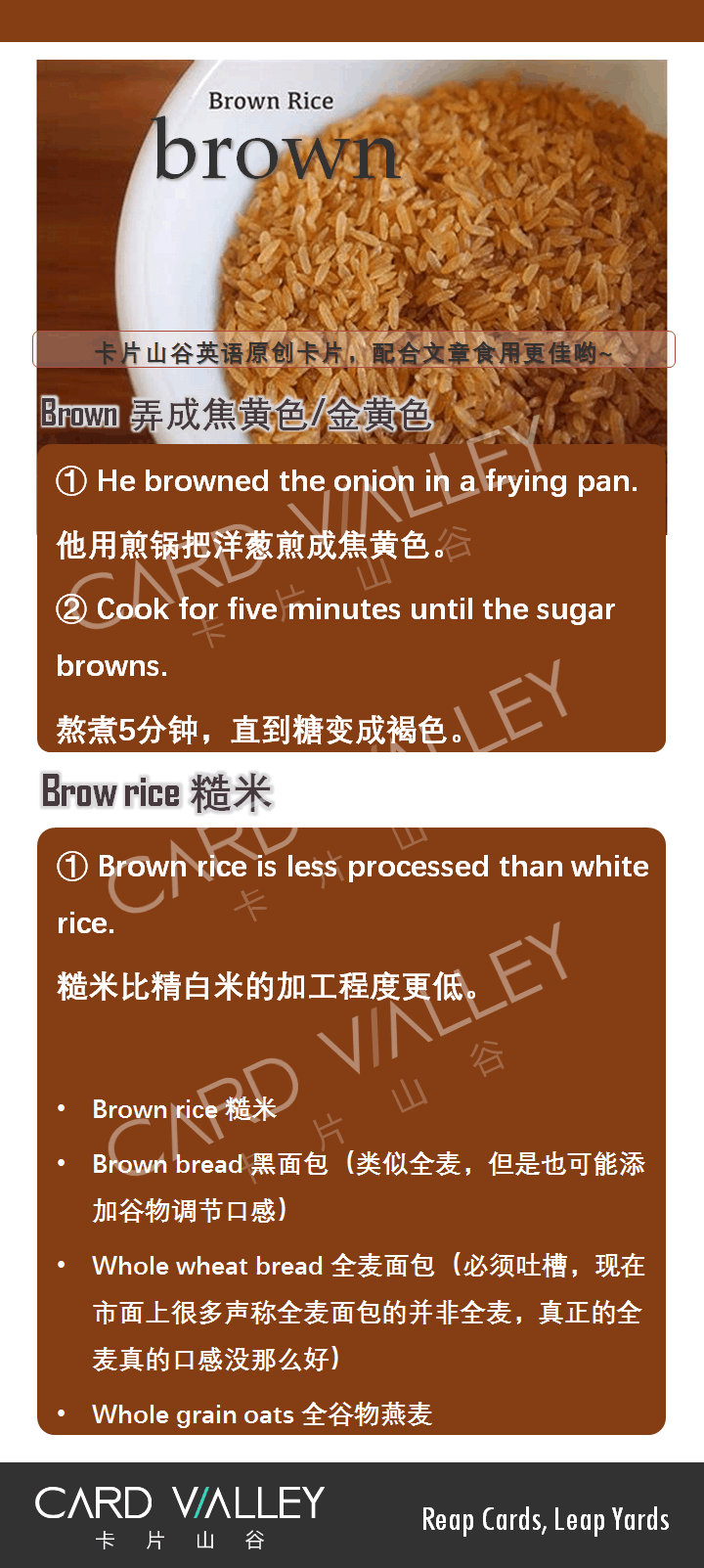 _百度百科發(fā)音_百科詞典英語(yǔ)怎么說(shuō)
