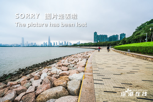 西北大學現代學院成績查詢_西北大學現代學院查成績查詢_西北現代學院錄取查詢系統