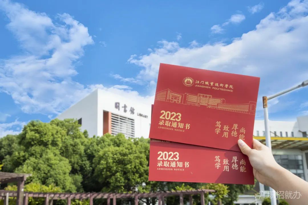 龍血鐵和龍須蘭的區別_蘭鐵小區_蘭鐵一小
