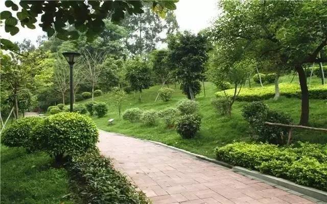 高鐵學校職業技術學院_高鐵學校_高鐵學校有哪些專業好就業