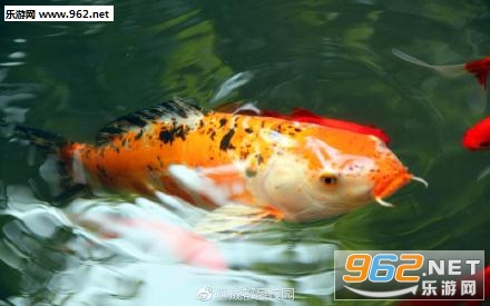 勞倫斯美發學校濟南校區_勞倫斯美發學校安森老師_勞倫斯美發學校