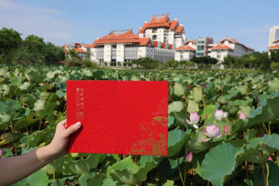 廈門大學嘉庚學校會不會取消_廈門大學嘉庚學院脫離廈大_嘉庚學院脫離廈門大學