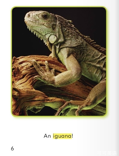 瓶子bottle怎么讀_bottle怎么讀_瓶子英語怎么讀bottle