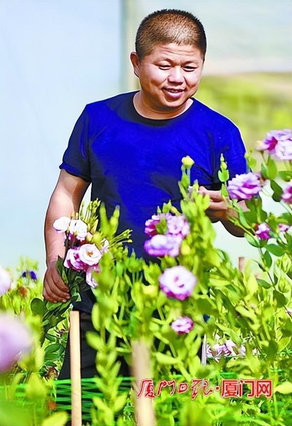 淮北師范大學(xué)招生就業(yè)處_淮北師范大學(xué)就業(yè)指導(dǎo)中心_淮北師范就業(yè)信息網(wǎng)