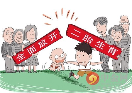 河北金稅怎么樣_河北金稅集團簡介_河北金稅網
