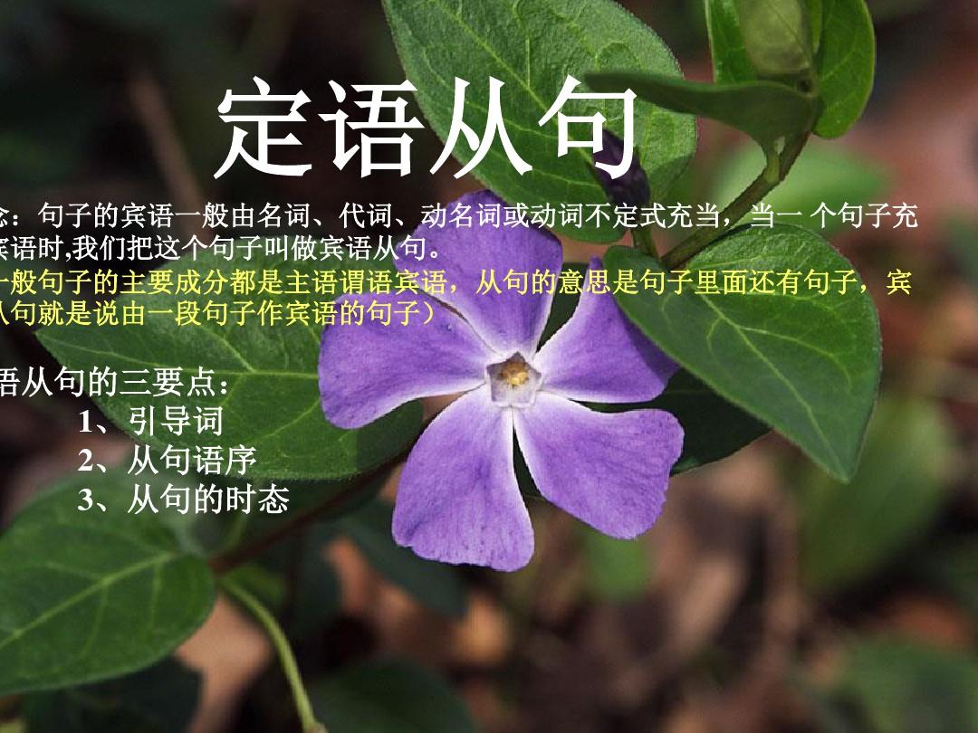 _whether的用法總結,只能用whether的五種情況_whether的用法總結,只能用whether的五種情況