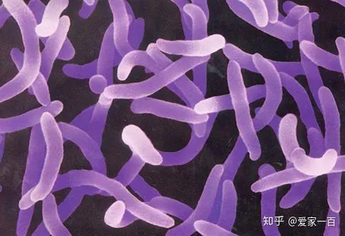 六級(jí)英語(yǔ)優(yōu)秀是多少分_六級(jí)考試優(yōu)秀等級(jí)多少分_