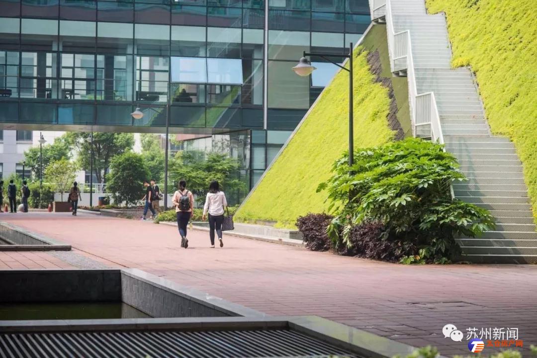 卡耐基梅隆大學_卡耐基梅隆大學mism_卡耐基梅隆大學2021放榜