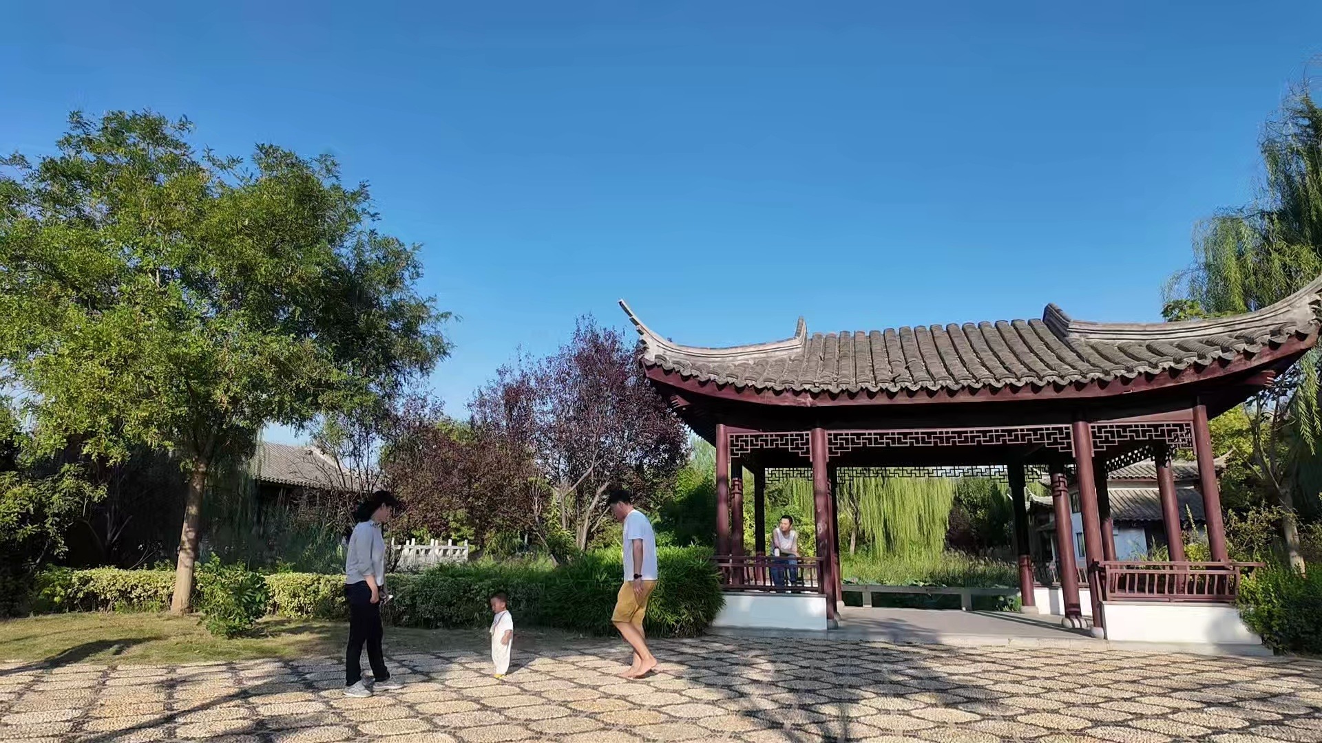 北京八中少年班在哪個校區(qū)上課_北京8中少年班報考要求_北京八中少年班