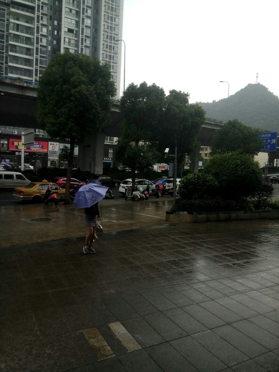 日壇中學_日壇中學校徽含義_日壇中學圖片