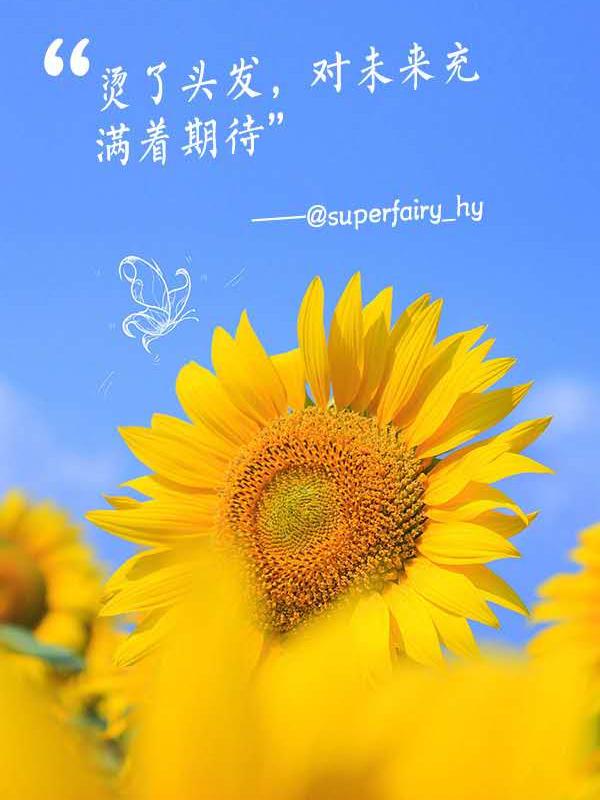 毛坦廠中學紀錄片觀后感_毛坦廠中學上課視頻_毛坦廠中學紀錄片