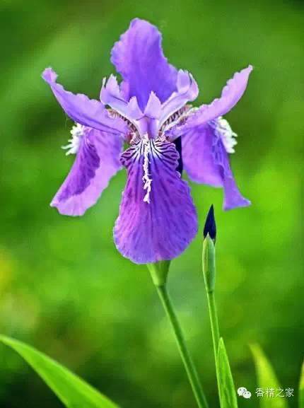 曲阜一中吧_曲阜一中多大_曲阜一中全名