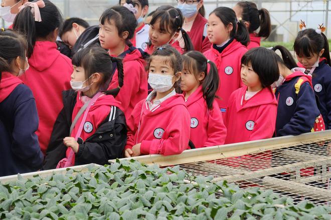 江陰華西實驗學校中考升學率_江陰華西實驗小學_江陰市華西實驗學校