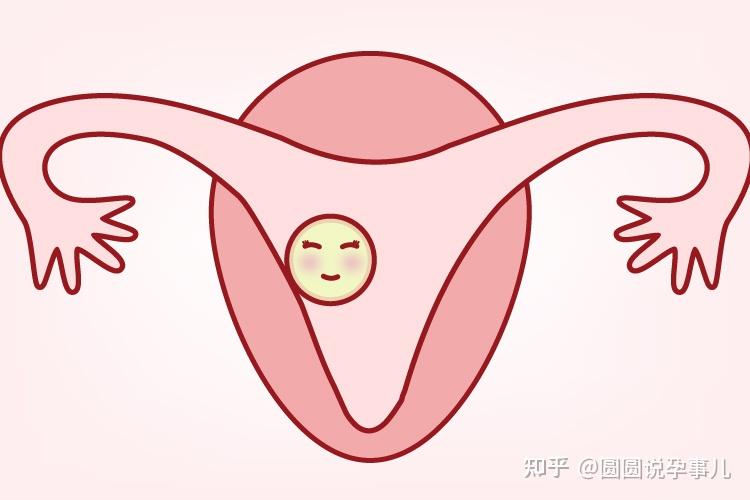 淮北學校_淮北學校有哪些_淮北學校食堂事件