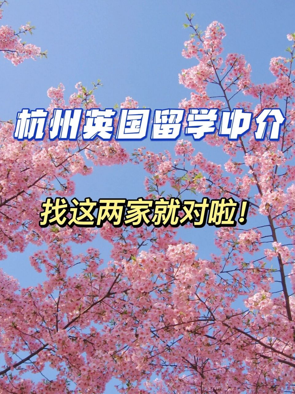 中介留學費用多少錢_中介留學費用高嗎_留學中介費用